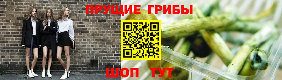 Ставрополь  Псилоцибиновые грибы Psilocybe  Галлюциногенные грибы MAGIC MUSHROOMS  Вход с VPN 