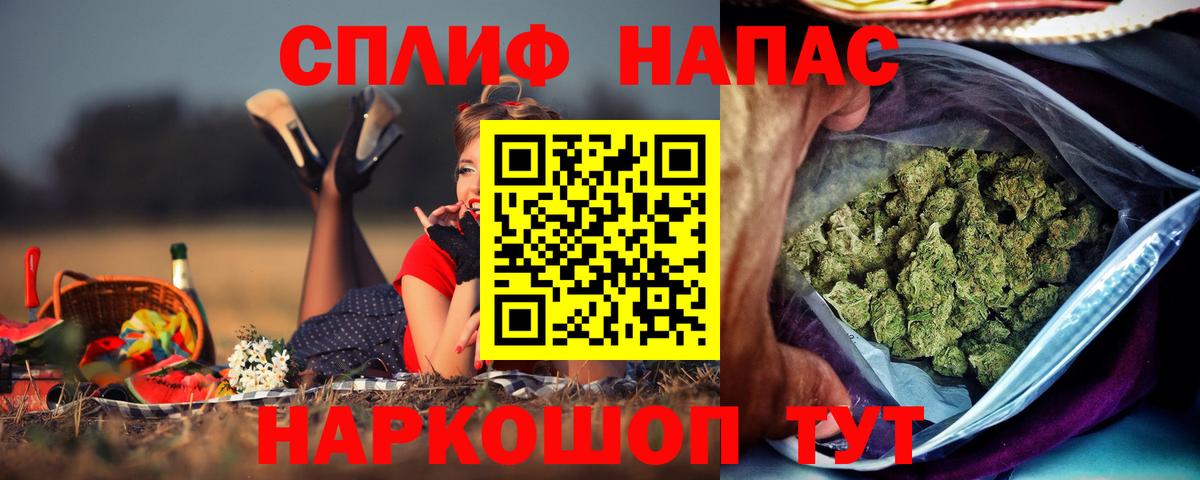 Бошки Шишки ГИДРОПОН Ставрополь